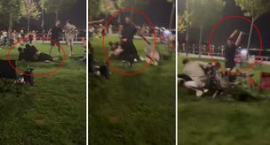 Сходили на пикник и получили взбучку: Кулаки, палки летали в воздухе!