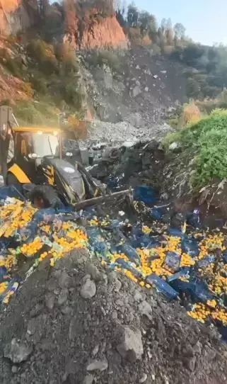 Zirai İlaç Kalıntısı Bulundu, 6 Bin Kilogram Mandalina İmha Edildi,