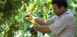 Ordu Ziraat Odası'ndan İftar Yemeği