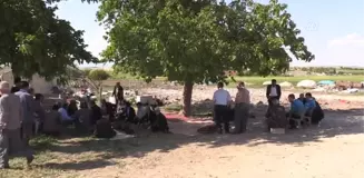 Zeytin Dalı Harekatı Şehidinin Anısına Hatıra Ormanı