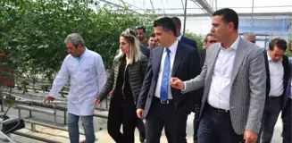 Bakan Pakdemirli, Buzağıyı Süt ile Besledi (2)