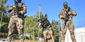 Diyarbakır Valiliği, terör şüphelisine 'köpekle işkence yapıldı' iddialarını yalanladı