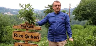 ÇAYKUR Eski Genel Müdürü İmdat Sütlüoğlu iddialara cevap verdi