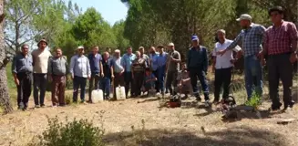 ORMAN YANGINLARINA KARŞI TEYAKKUZA GEÇTİLER