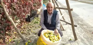 Emet ve Hisarcık'ta Küreci elmasına yoğun ilgi