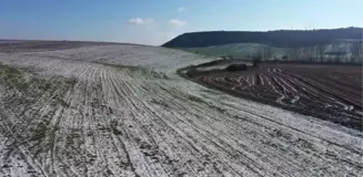 Trakya'da kar yağışı ile buğdayın gelişim hızı normal seviyelere geriledi