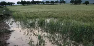 Afyonkarahisar'da sağanak tarım arazilerine zarar verdi