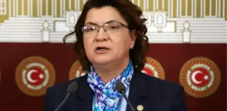 Suzan Şahin kimdir? Kaç yaşında, nereli, mesleği ne? Suzan Şahin hangi partili, milletvekili mi, nereden hangi partiden milletvekili?