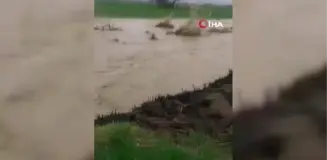 Elazığ'da sağanak sonrası evler ve tarım arazileri sular altında kaldı