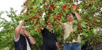 Erzurumlu Girişimci Devlet Desteğiyle Hayalini Kurduğu Meyve Bahçesine Kavuştu