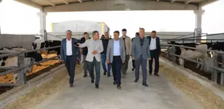 Şanlıurfa Valisi Gıda ve Besi OSB'leri Ziyaret Etti