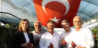 Narenciyenin merkezinde tropik ürün yetiştirdi, şimdi taleplere yetişemiyor