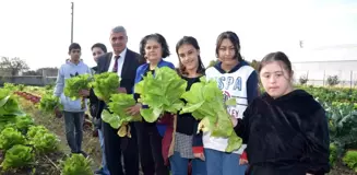 Antalya'da Engelliler Günü etkinliği: Özel öğrenciler tarım lisesi öğrencileriyle birlikte ürünleri topladı