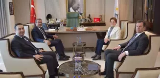 Meral Akşener, Çukurova Belediye Başkan adayı Soner Çetin'i kabul etti