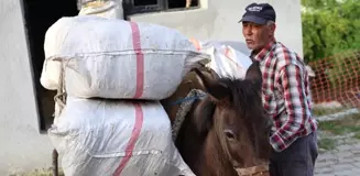 Akaryakıt Zamları Sonrası Kırsal Kesimde Yük Hayvanları Tercih Ediliyor