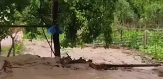 Artvin'de aşırı yağışlar tarım arazilerine ve köy yollarına zarar verdi