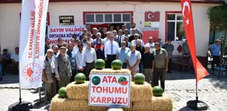 Karaman Valisi Ortaoba karpuzu hasat programına katıldı