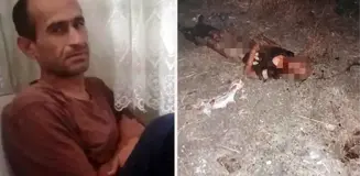 Sokak köpekleri parçalayarak öldürmüştü! Talihsiz adamın yaşadığı vahşet hastane raporunda