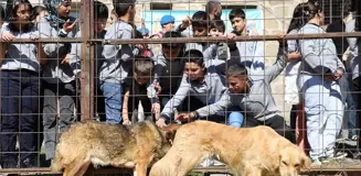 Bitlis Belediyesi'nden 4 Ekim Hayvanları Koruma Günü Etkinliği