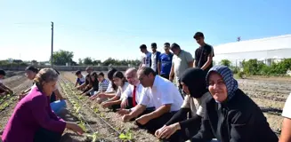 Aksu Tarım Lisesi Öğrencileri Sezonun İlk Fidelerini Ekti