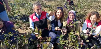 Erdek Kaymakamı, Dünya Kadın Çiftçiler Günü'nde Elif Ünver'i Ziyaret Etti