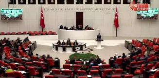 TBMM Genel Kurulu'nda İyi Parti ve Dem Partililer Arasında 'Terörist' Tartışması