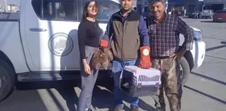 Afyonkarahisar'da Yaralı Kızıl Şahin ve Çakal Kurtarıldı