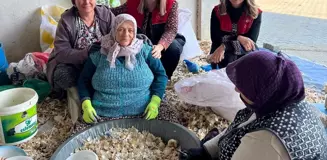 Başkan Bulut, Ordulular Derneği Başkanı Cıbır'ı Ağırladı