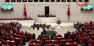 CHP'nin Kaz Dağları'nın Madencilik Çalışmalarına Açılmasının Araştırılması Önerisi Reddedildi...