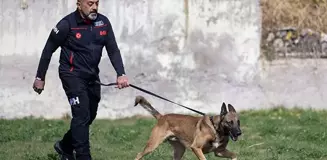 İHH Arama Kurtarma Köpeği Bozo, Sınavda Birinci Oldu