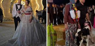 Damat çaresizce bekledi, düğünde takılanlar herkesi şoke etti