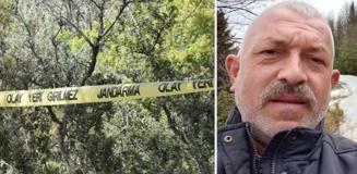 Kestiği ağaç sonu oldu