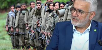 Zekeriya Yapıcıoğlu: PKK hayalleri bir kez daha yıkarsa devlet mekanizması tepkiler verebilir