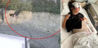 Komşu kavgası feci bitti, doktorun iteklediği kadın ağır yaralandı