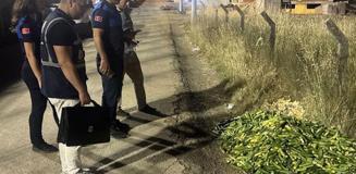 Ticaret Bakanlığı'ndan Kocaeli'de boş araziye salatalık döken kişiye dev ceza