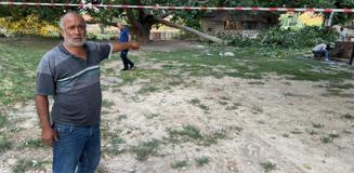 Kırılan ağaç dalı aynı aileden 11 kişiyi hastanelik etti