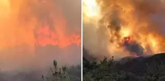 Sakarya'da orman yangını! Bir mahalle tahliye edildi