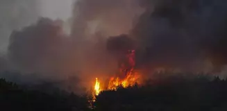 61 orman yangınıyla ilgili gözaltına alınan 23 kişiden 4'ü tutuklandı