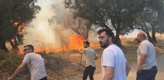 20 zeytin ağacı yandı: 2 çocuk gözaltında