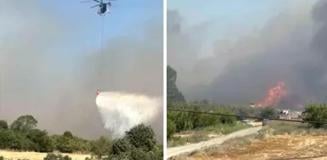 Çanakkale'de çıkan yangın ormana sıçradı