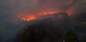 İzmir'in Buca ilçesinde orman yangını! Alevler hızla ilerliyor