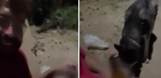 Köpeğine zorla alkol içirip kahkahalar attı