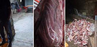 Et denince akla gelen kentte skandal! 1,5 ton et imha edildi