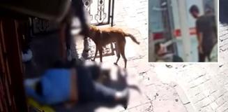 Bu nasıl insanlık! Bayılan sara hastasını üzerindeki kıyafete varana kadar soydular