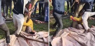 İnfial yaratan görüntü! Evli kadınla uygunsuz yakalanan din adamını... İnfial yaratan görüntü! Evli kadınla uygunsuz yakalanan din adamını...