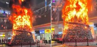 'Müslümanlar Noel ağacını ateşe verdi' dendi, gerçek çok başka çıktı