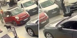 Maddi hasarlı kazanın kavgası büyük oldu Maddi hasarlı kazanın kavgası büyük oldu