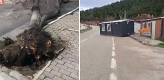 Ağaçlar kökünden söküldü, prefabrik evler bile uçuyor! Vatandaşlara 'Sokağa çıkmayın' uyarısı Ağaçlar kökünden söküldü, prefabrik evler bile uçuyor! Vatandaşlara 'Sokağa çıkmayın' uyarısı