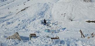 Şırnak'ta çığ faciası, bir kişi yaşamını yitirdi Şırnak'ta çığ faciası, bir kişi yaşamını yitirdi