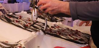 Hamsinin yokluğunu kapattı, fiyatı dibi gördü! Tezgahın en ucuzu